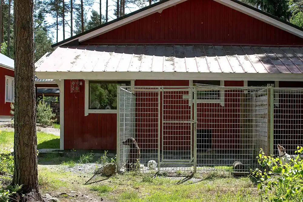 Tuittulan koirahoitolan tarharakennus.